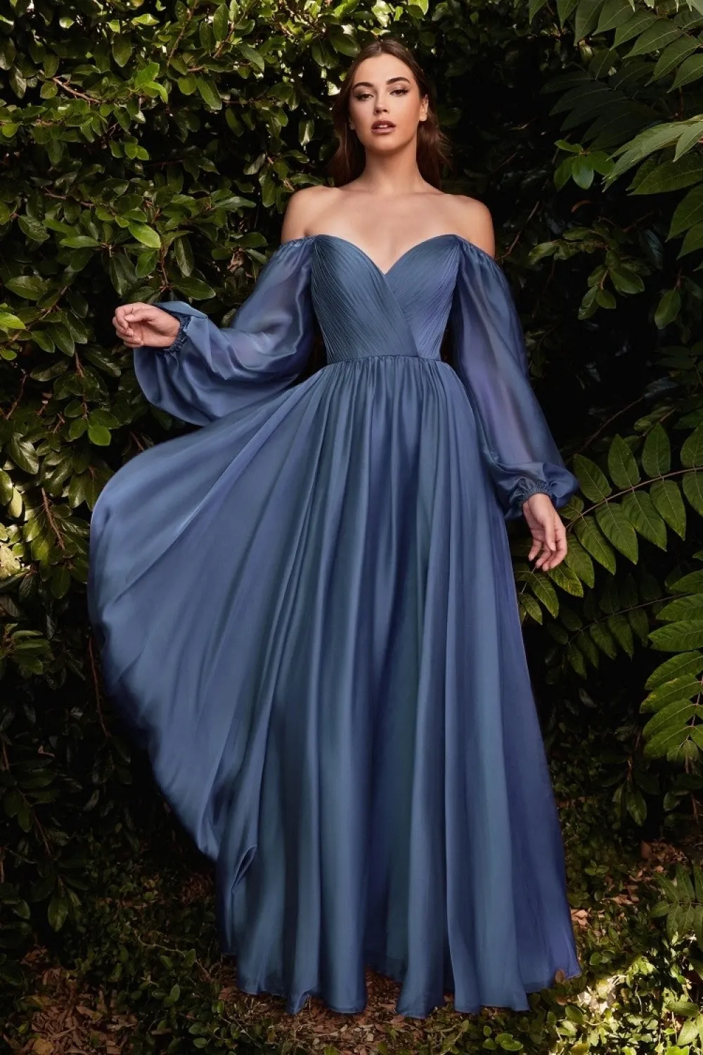 Chiffon A-line Long Sheer Sleeves On or Off Shoulder Neckline Long Prom & Evening Dress CDCD243 Sale