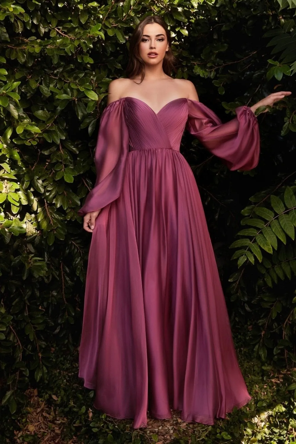 Chiffon A-line Long Sheer Sleeves On or Off Shoulder Neckline Long Prom & Evening Dress CDCD243 Sale