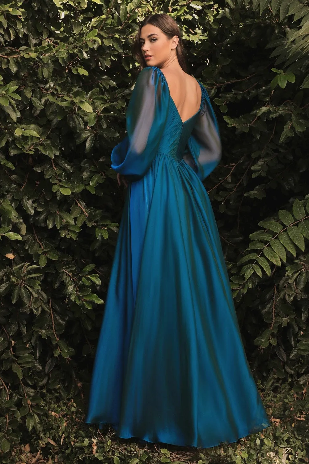 Chiffon A-line Long Sheer Sleeves On or Off Shoulder Neckline Long Prom & Evening Dress CDCD243 Sale