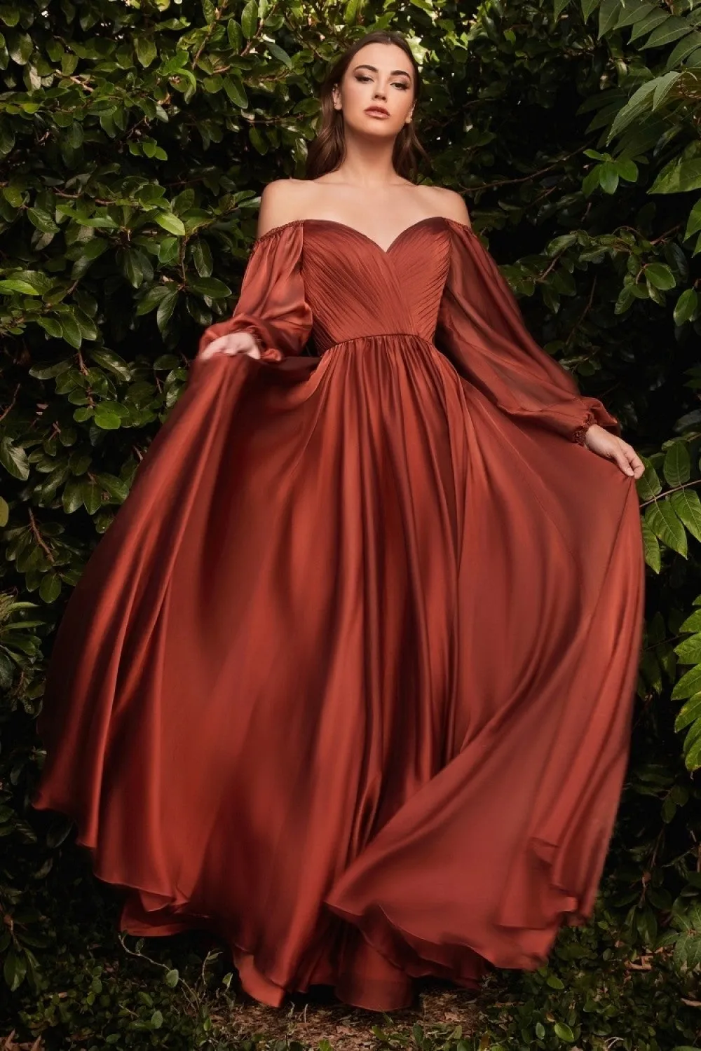 Chiffon A-line Long Sheer Sleeves On or Off Shoulder Neckline Long Prom & Evening Dress CDCD243 Sale