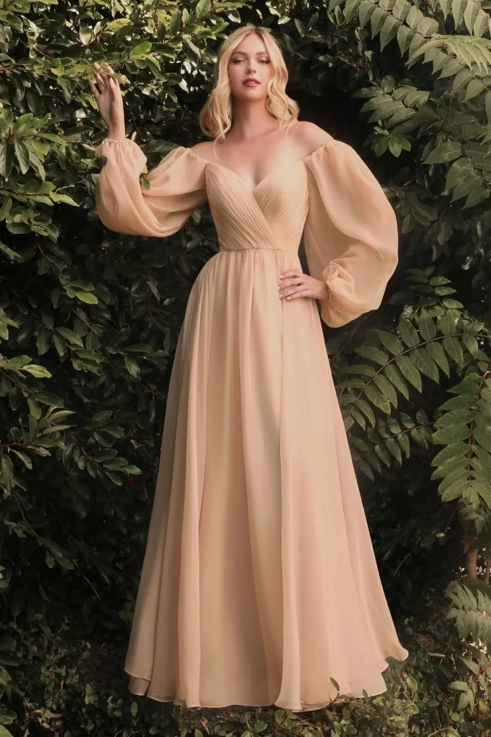 Chiffon A-line Long Sheer Sleeves On or Off Shoulder Neckline Long Prom & Evening Dress CDCD243 Sale