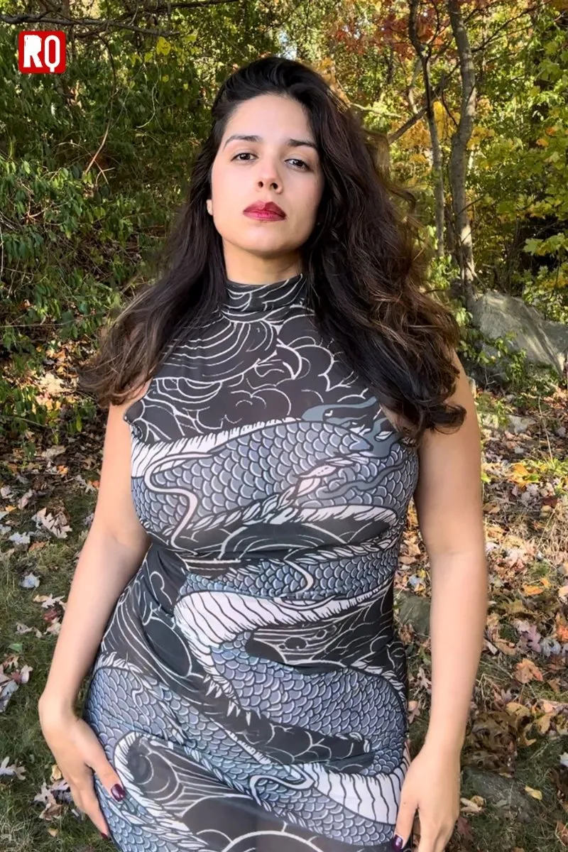 Dragon's embrace bodycon sheer mesh dress