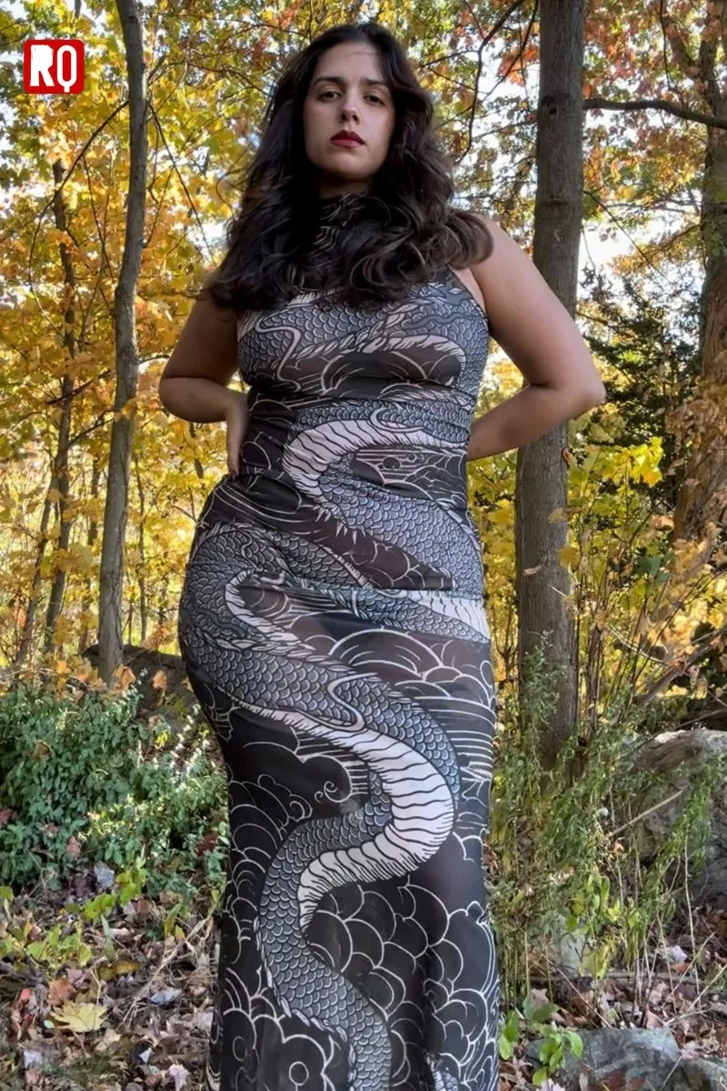 Dragon's embrace bodycon sheer mesh dress