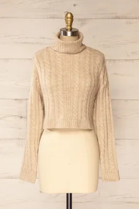 Pulborough Beige | Cropped Turtleneck Sweater