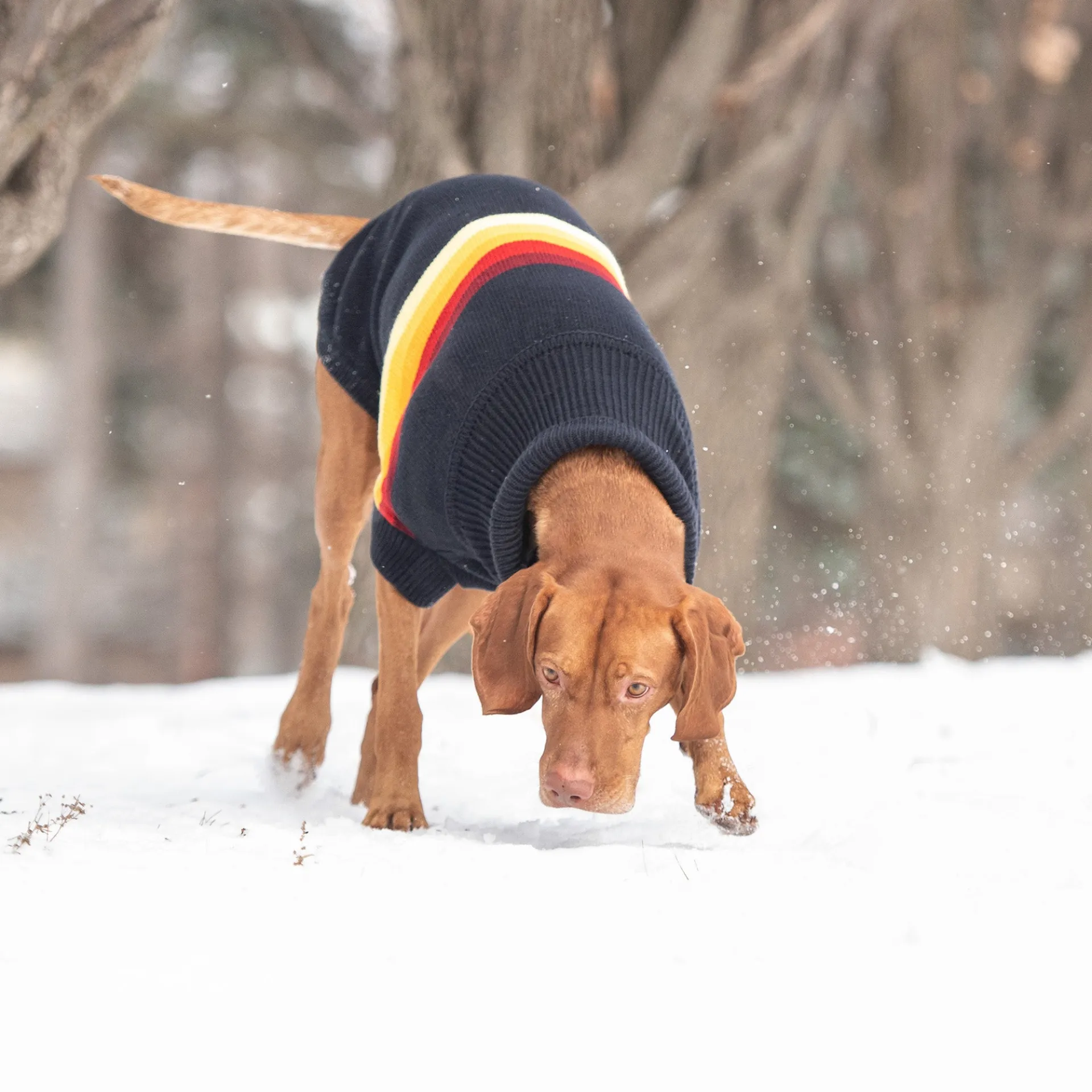Retro Pet Sweater (Navy)