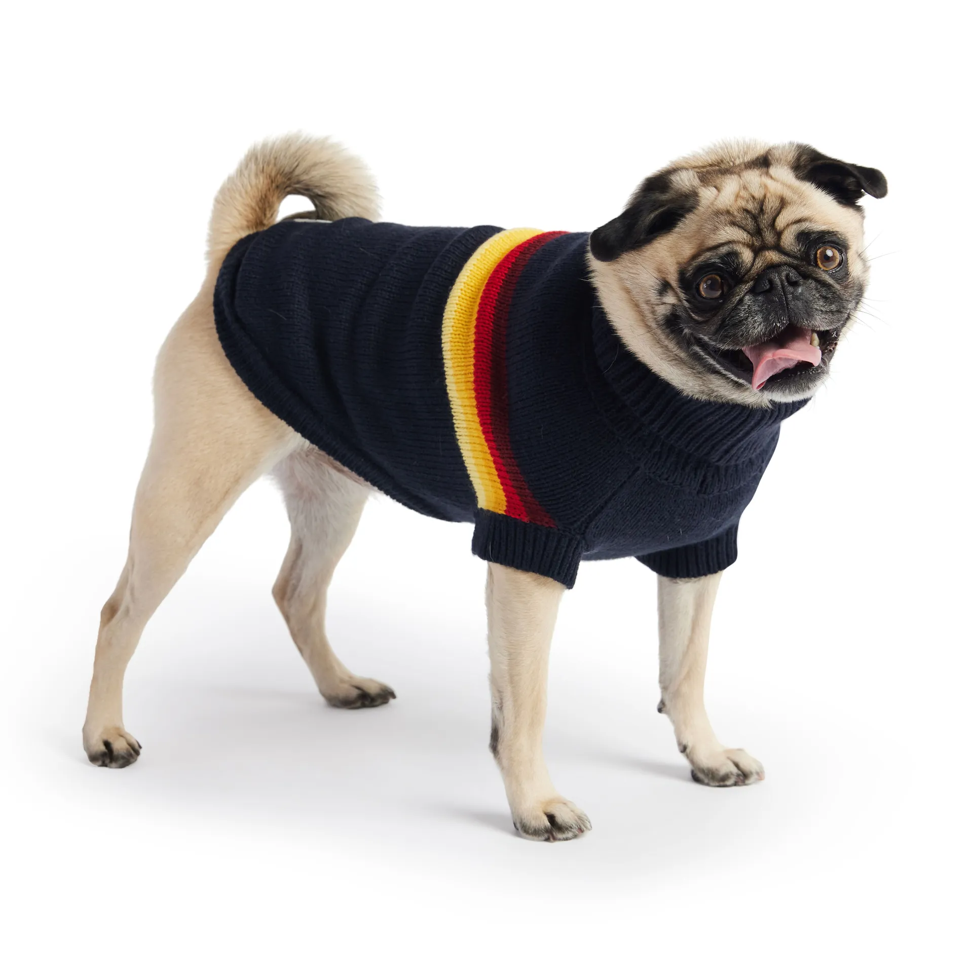 Retro Pet Sweater (Navy)