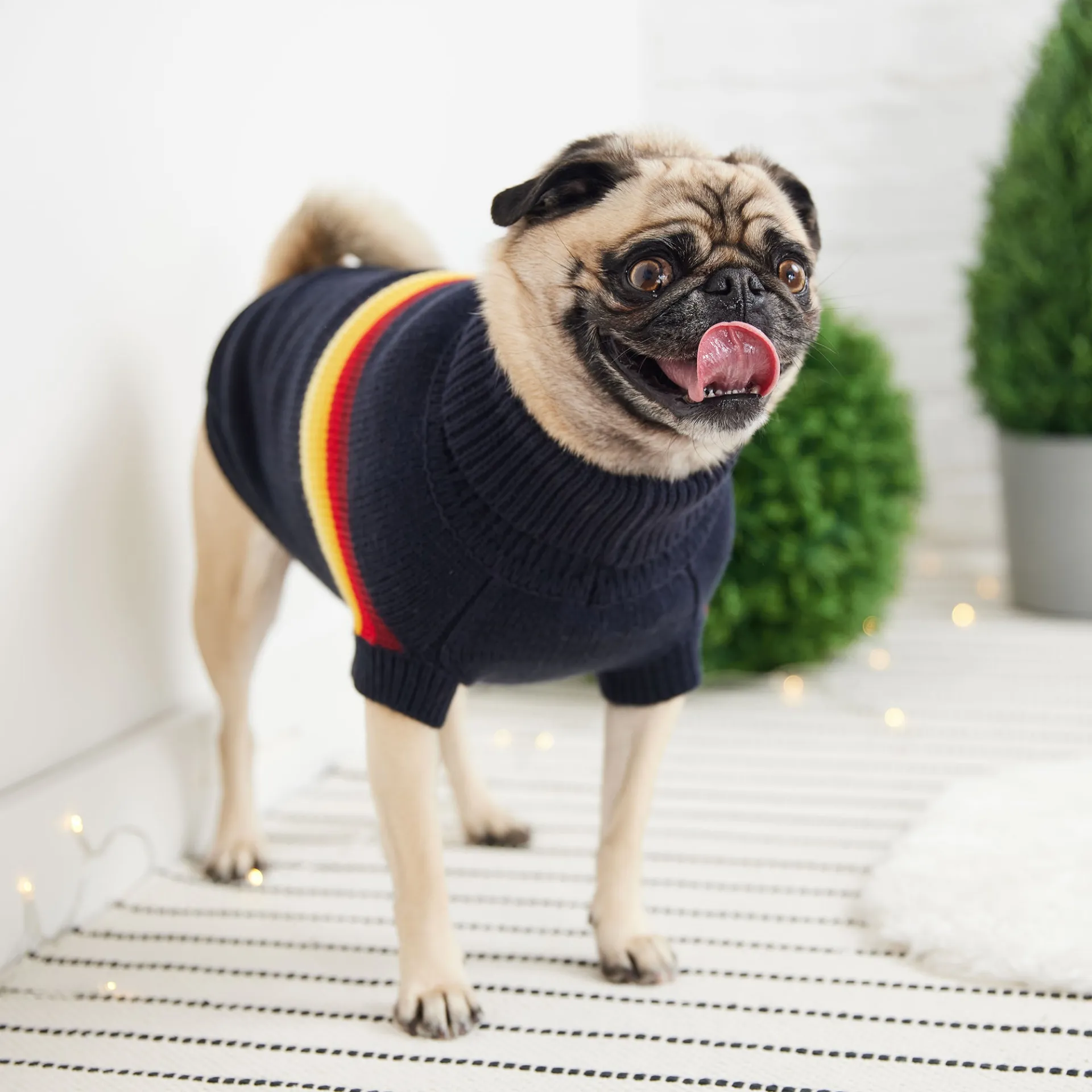 Retro Pet Sweater (Navy)
