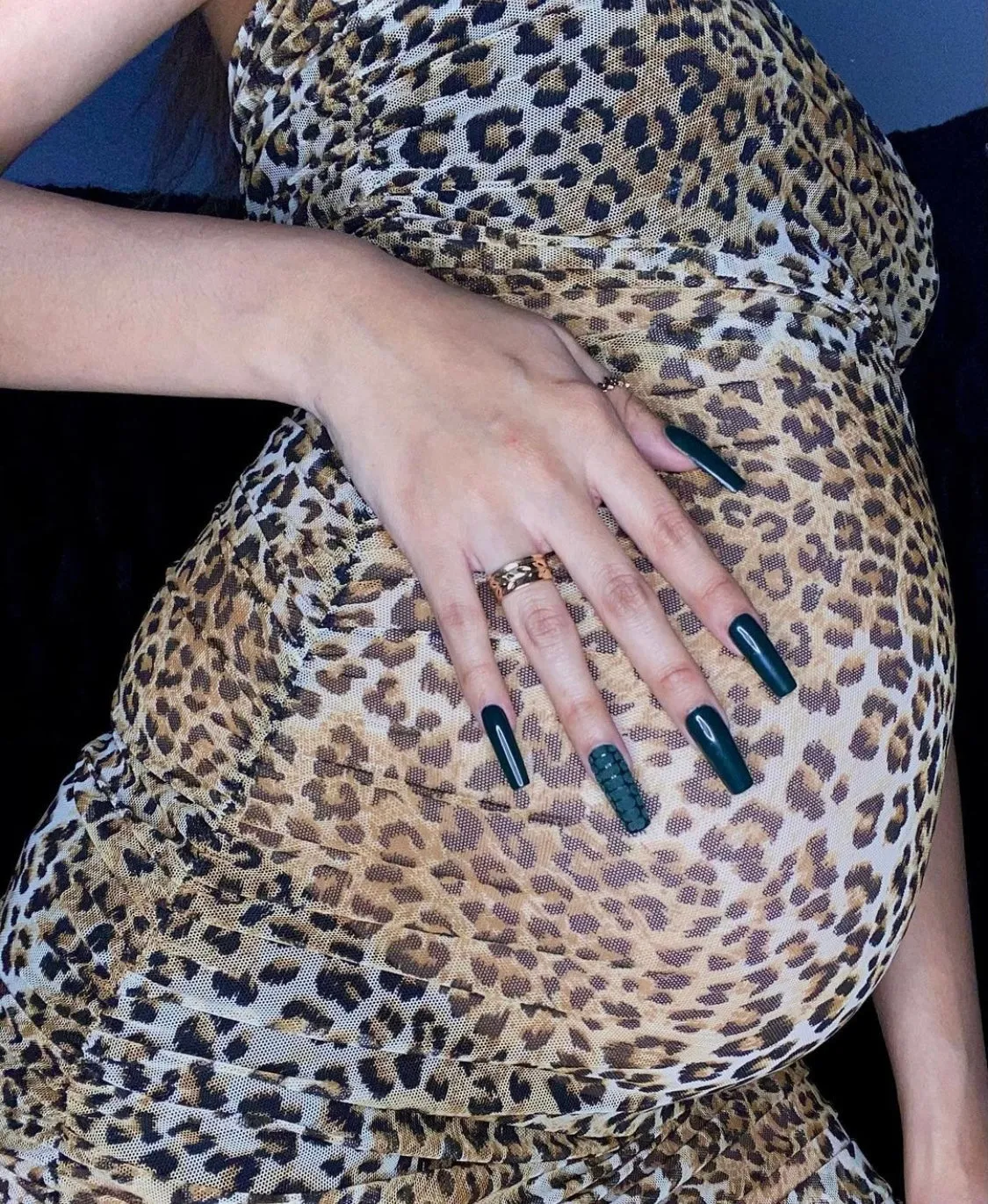 Roxy Cheetah Print Mesh Bodycon Dress