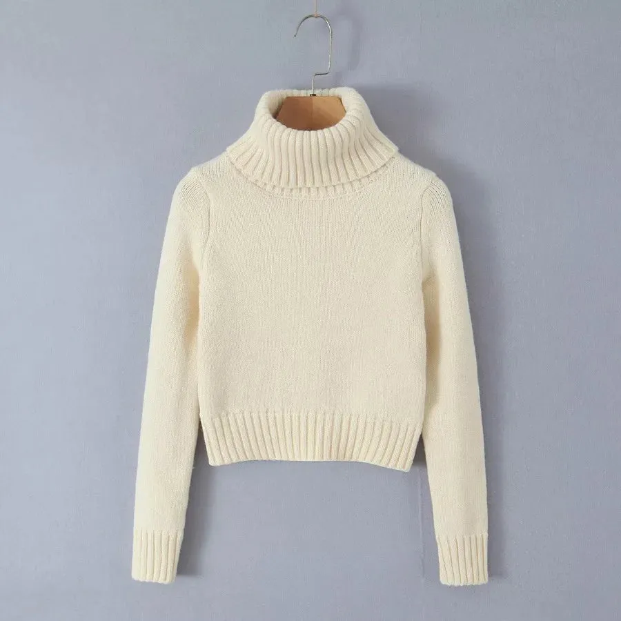 Turtleneck cropped flowing knit sweater with matching knit skirt set