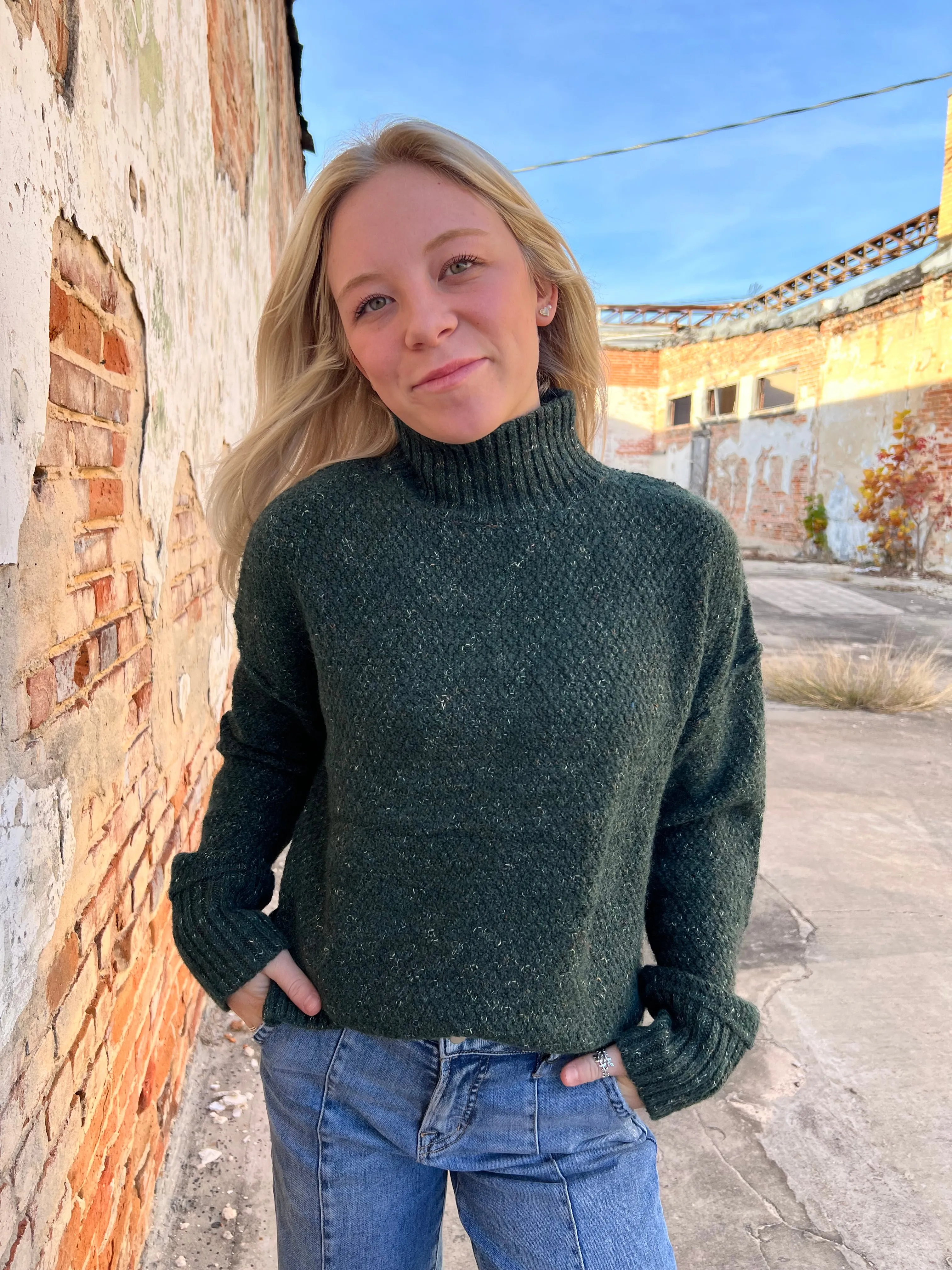 Willow Wool Blend Turtleneck Long Sleeve Sweater